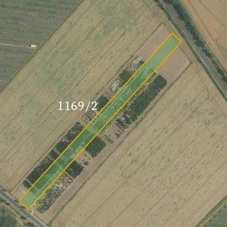 Prodej zemědělské půdy 13 880 m² Čáslav