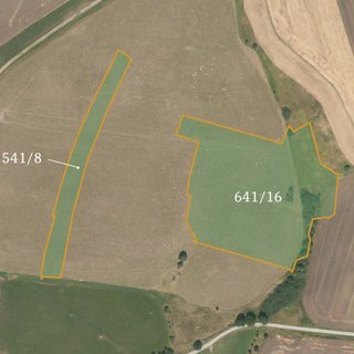 Prodej zemědělské půdy 39 611 m² Dírná