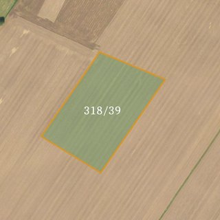 Prodej zemědělské půdy 27 595 m² Loučany