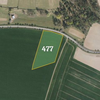 Prodej zemědělské půdy 10 420 m² Bělá pod Bezdězem