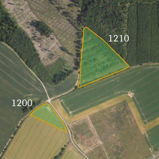 Prodej zemědělské půdy 3 273 m² Vitčice