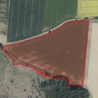 Prodej zemědělské půdy 42 402 m² Studený