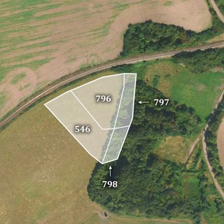 Prodej zemědělské půdy 5 666 m² Kopidlno