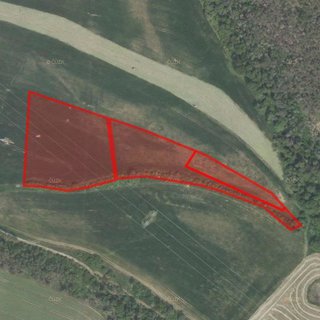 Prodej zemědělské půdy 14 956 m² Drevníky