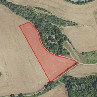Prodej zemědělské půdy 42 047 m² Třebichovice