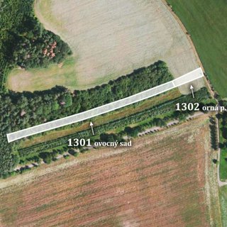 Prodej zemědělské půdy 16 662 m² Konojedy