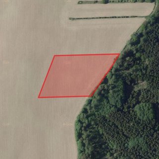 Prodej zemědělské půdy 15 383 m² Nová Cerekev
