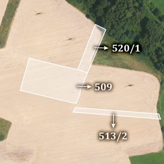 Prodej zemědělské půdy 9 806 m² Mohelnice