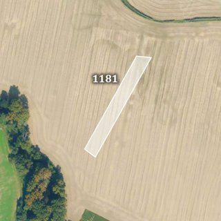 Prodej zemědělské půdy 2 311 m² Bořice