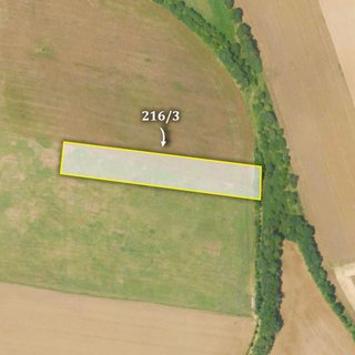 Prodej zemědělské půdy 4 863 m² Ptice