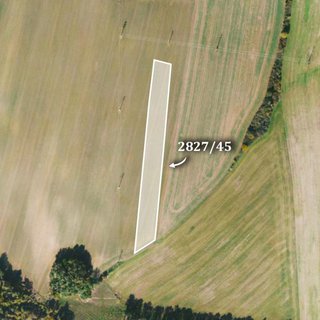 Prodej zemědělské půdy 5 389 m² Kostelec nad Černými lesy