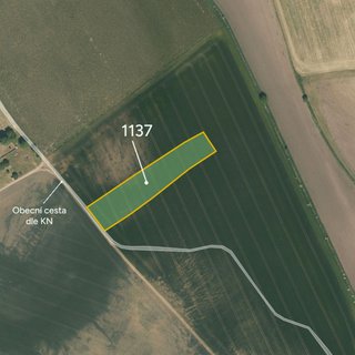 Prodej zemědělské půdy 5 187 m² Jíkev
