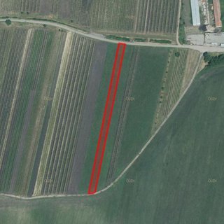Prodej zemědělské půdy 2 275 m² Hlohovec