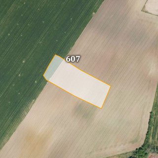 Prodej zemědělské půdy 5 215 m² Jíkev