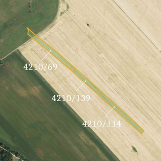 Prodej zemědělské půdy 29 367 m² Moravská Nová Ves