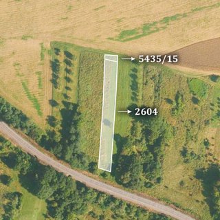 Prodej zemědělské půdy 3 935 m² Pitín