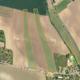 Prodej zemědělské půdy 82 650 m² Dobrovice