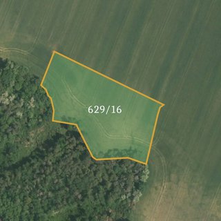 Prodej zemědělské půdy 15 379 m² Sazená