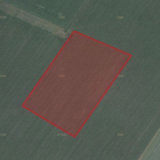 Prodej zemědělské půdy 27 595 m² Loučany