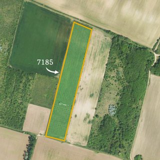 Prodej zemědělské půdy 15 125 m² Křídlůvky
