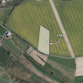 Prodej zemědělské půdy 13 180 m² Byšice
