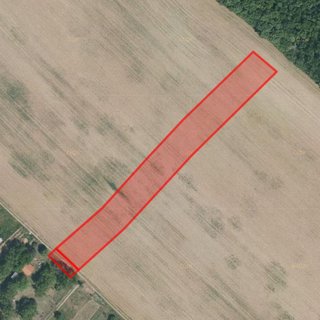 Prodej zemědělské půdy 5 984 m² Lovčice