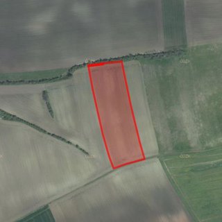 Prodej zemědělské půdy 9 468 m² Lipno