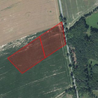 Prodej zemědělské půdy 4 804 m² Přibyslav