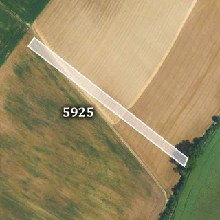 Prodej zemědělské půdy 6 955 m² Lovčice