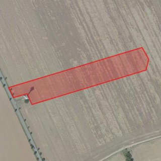 Prodej zemědělské půdy 17 231 m² Libeř