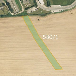 Prodej zemědělské půdy 15 504 m² Dubicko