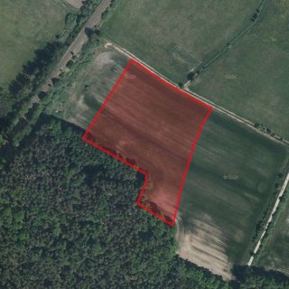 Prodej zemědělské půdy 6 267 m² Bolehošť