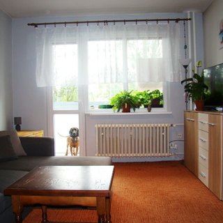 Prodej bytu 3+1 66 m² Šumperk, Vrchlického