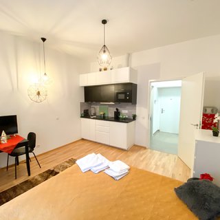 Pronájem bytu 1+kk a garsoniéry 26 m² Praha, Tyršova