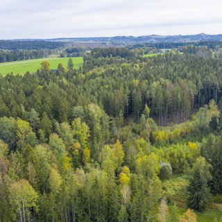 Prodej lesa 2 232 m² Všeradov