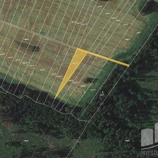Prodej zemědělské půdy 1 210 m² Ptení