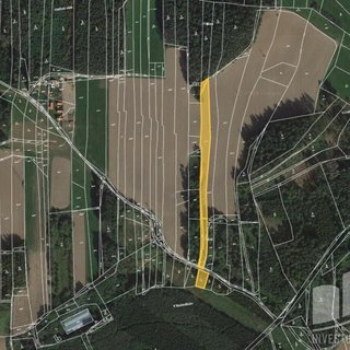 Prodej zemědělské půdy 5 069 m² Losiná