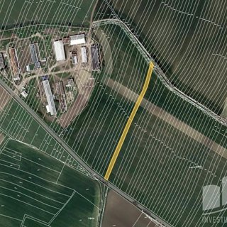 Prodej zemědělské půdy 5 060 m² Borkovany