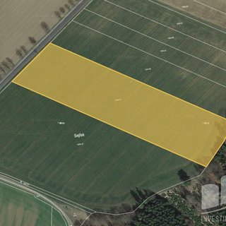 Prodej zemědělské půdy 19 596 m² Čestín