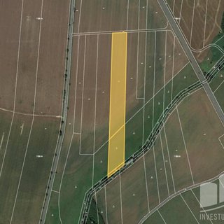 Prodej zemědělské půdy 67 690 m² Horní Ředice
