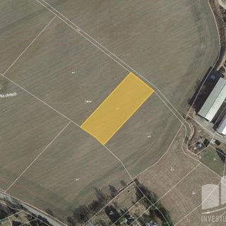 Prodej zemědělské půdy 2 155 m² Cheznovice