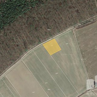 Prodej zemědělské půdy 1 684 m² Sýkořice