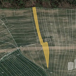 Prodej zemědělské půdy 11 598 m² Tehov