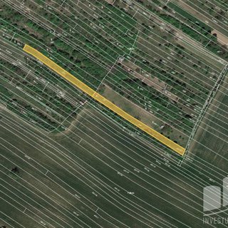 Prodej zemědělské půdy 2 027 m² Klobouky u Brna