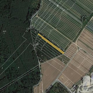Prodej zemědělské půdy 7 252 m² Moravský Písek