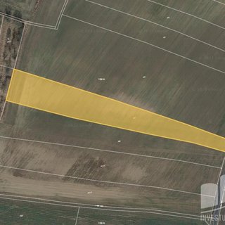 Prodej zemědělské půdy 9 982 m² Mnetěš