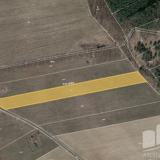 Prodej zemědělské půdy 9 558 m² Černěves