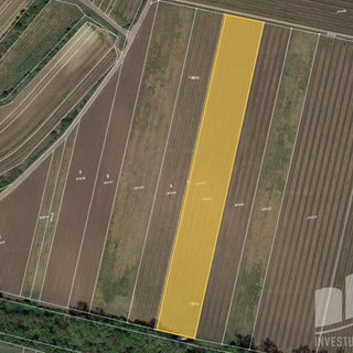 Prodej zemědělské půdy 9 947 m² Novosedly