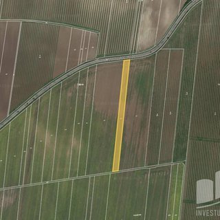 Prodej zemědělské půdy 4 997 m² Strachotín