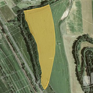 Prodej zemědělské půdy 63 481 m² Skrchov